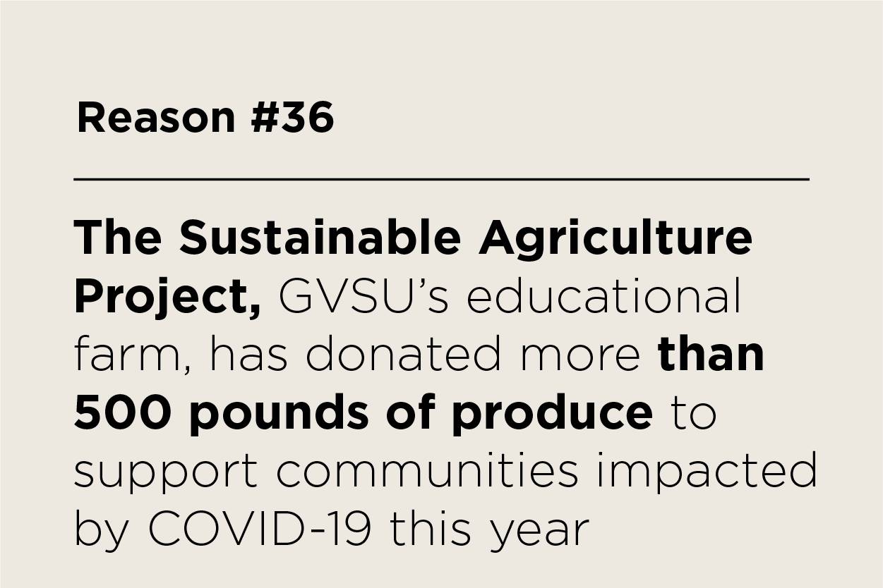 The Sustainable Agriculture Project, GVSU's educational farm, has donated more than 500 pounds of produce to support communities impacted by COVID-19 this year